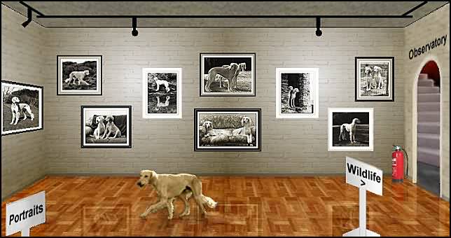 Kevin Walker-Smith's Cranstal Saluki Exhibition Imagemap